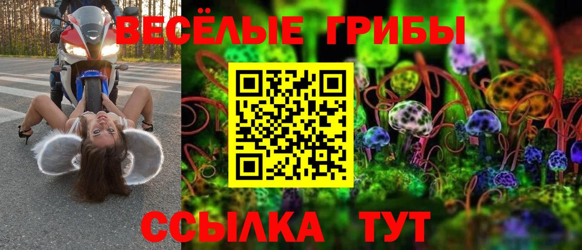 Галлюциногенные грибы GOLDEN TEACHER  Вход с VPN  Кропоткин 