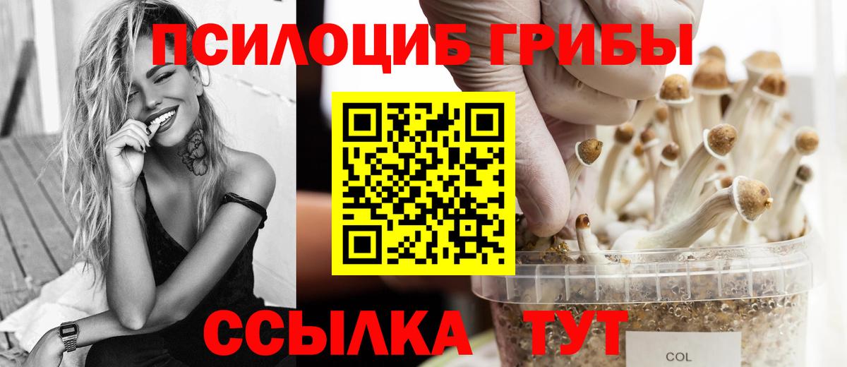 Псилоцибиновые грибы MAGIC MUSHROOMS Кропоткин