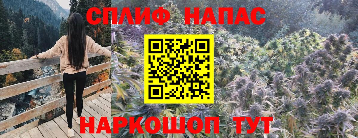Кропоткин  Бошки Шишки White Widow  Канабис тримм  Вход с VPN 